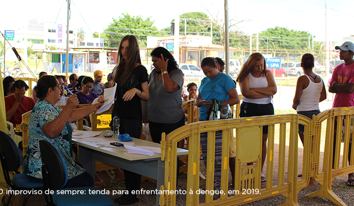 Dengue corre solta e governo não faz nada